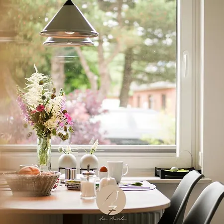 7 Amseln Sankt Peter-Ording