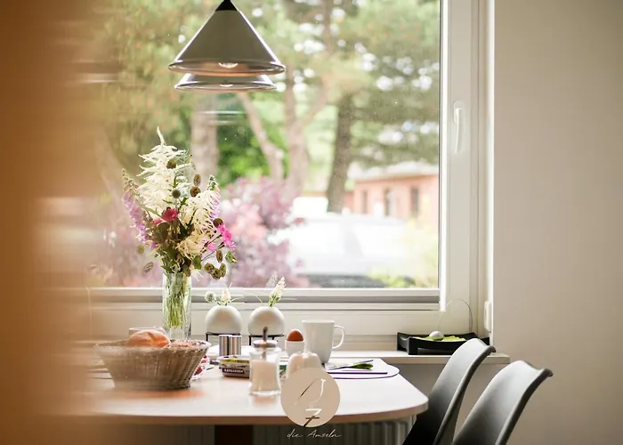 7 Amseln Sankt Peter-Ording